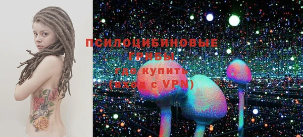 гидропоника Няндома
