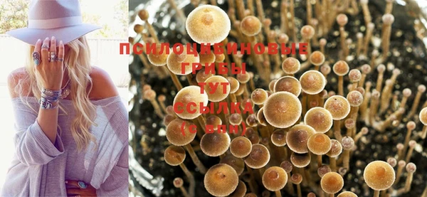 гидропоника Няндома