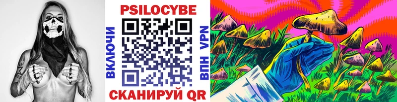 Псилоцибиновые грибы Psilocybine cubensis  Шатура 